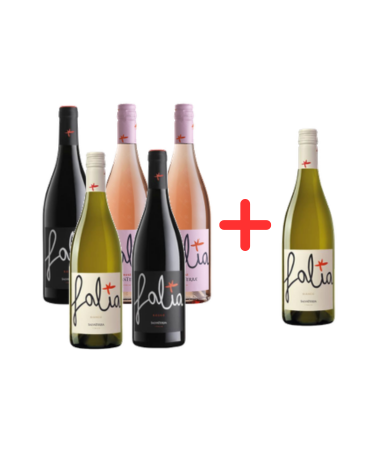 Zestaw mix 6 win Falia Vino Salvaterra 0,75l (5+1 za 10 groszy)