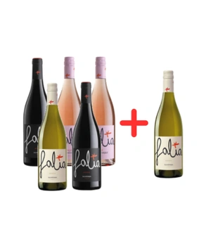 Zestaw mix 6 win Falia Vino Salvaterra 0,75l (5+1 za 10 groszy)